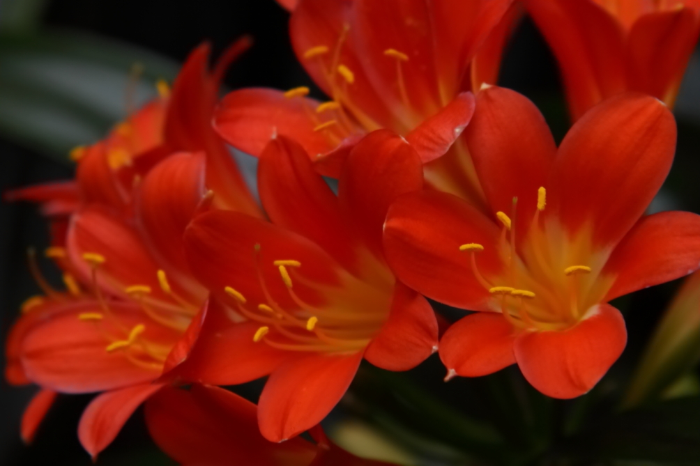 2013 02 23 IMG 5868